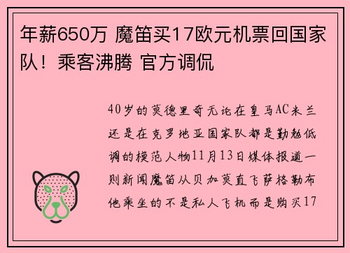 年薪650万 魔笛买17欧元机票回国家队！乘客沸腾 官方调侃